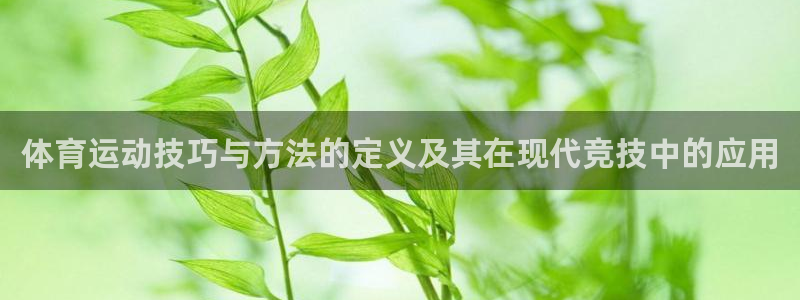 体育运动技巧与方法的定义及其在现代竞技中的应用