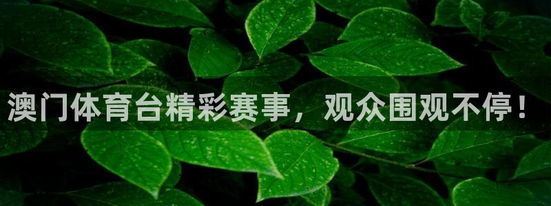 澳门体育台精彩赛事，观众围观不停！