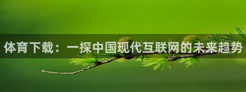 v体育官网下载：体育下载：一探中国现代互联网的未来趋势