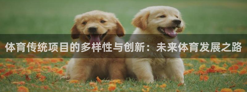 v体育官网app：体育传统项目的多样性与